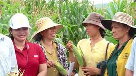 Khoa học & Cuộc sống Số 05/2024
